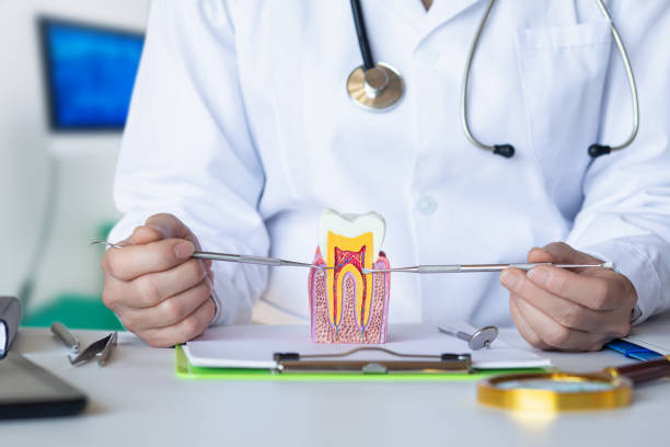 Best Urgent Dental Care for Toothache in Holiday Heights, NJ